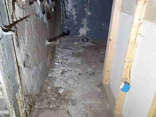 Testing again(30).jpg